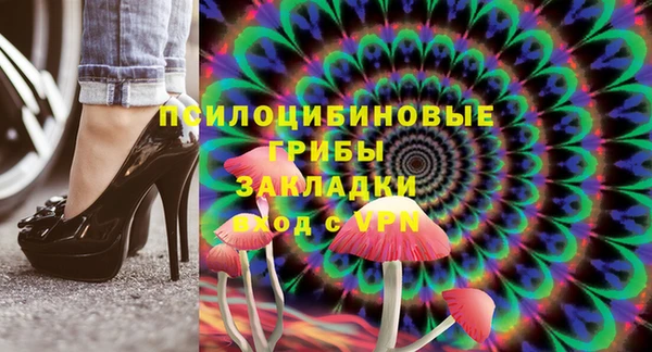 индика Абинск