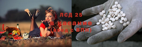 гидропоника Ельня