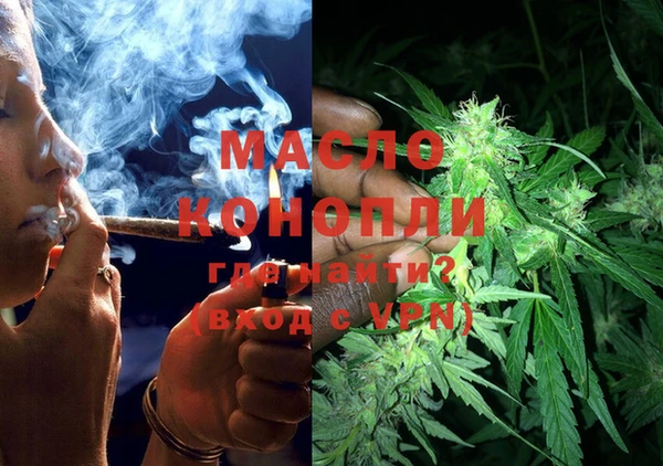 индика Касимов