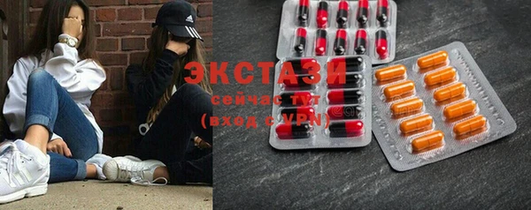 ECSTASY Алзамай
