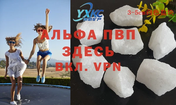 ECSTASY Алзамай