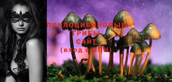ECSTASY Алзамай