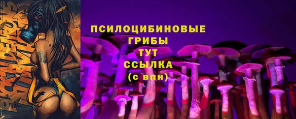 spice Алексеевка