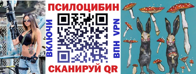 Галлюциногенные грибы мицелий  как найти   Пугачёв 