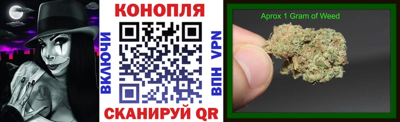 мега   Пугачёв  Бошки марихуана планчик 